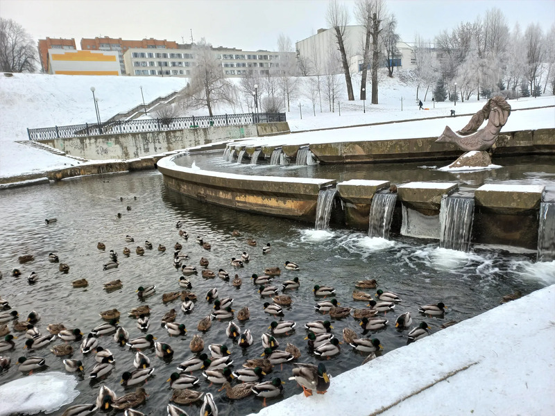 Быховский рынок могилев обои