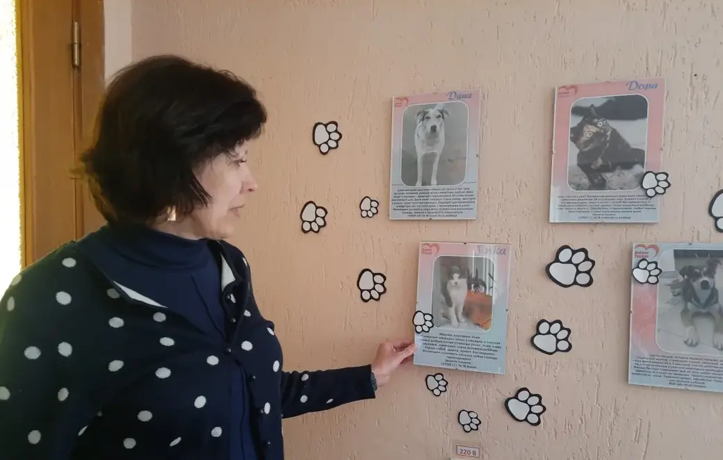 Май 2022 г. Могилев, Могилевская городская библиотека К.Маркса. На снимках - коты и собаки, которые ищут дом