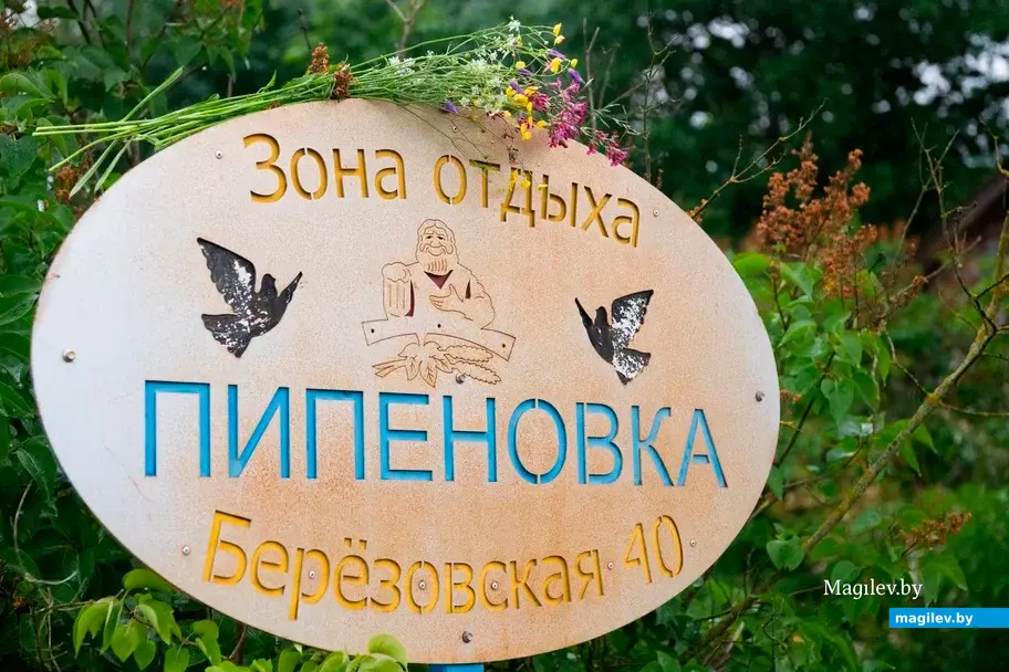 Зона отдыха «Пипеновка»: Могилевский район, деревня Березовка, улица Березовская, дом 40, кв.1. Июнь 2022 год.