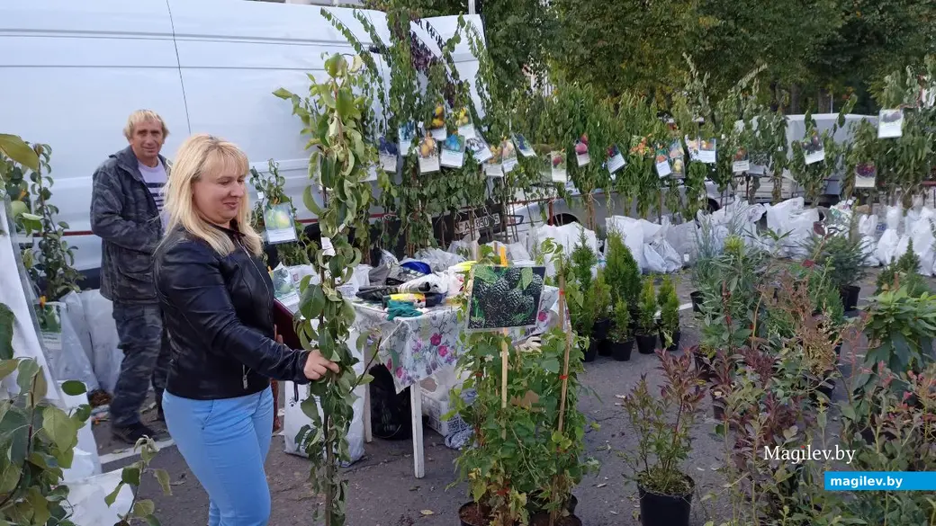 Сельскохозяйственная ярмарка в Бобруйске. 17.09.2022 г.