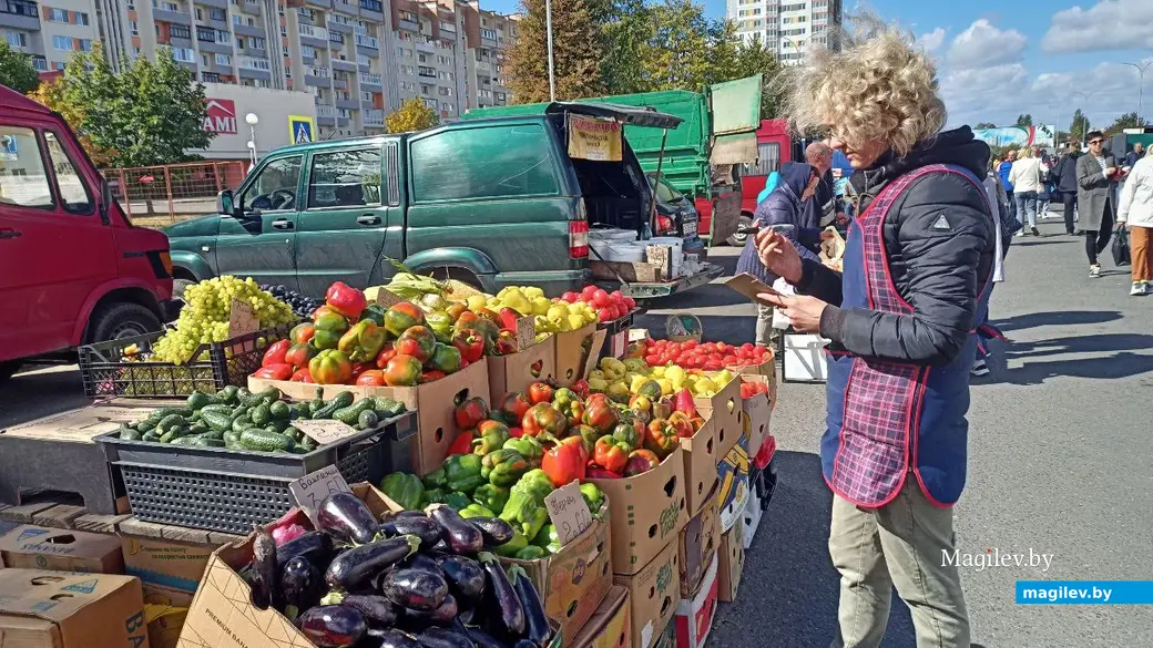 Сельскохозяйственная ярмарка в Бобруйске. 17.09.2022 г.
