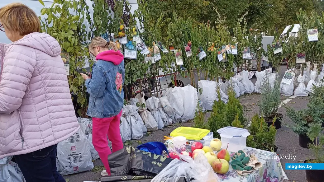 Сельскохозяйственная ярмарка в Бобруйске. 17.09.2022 г.
