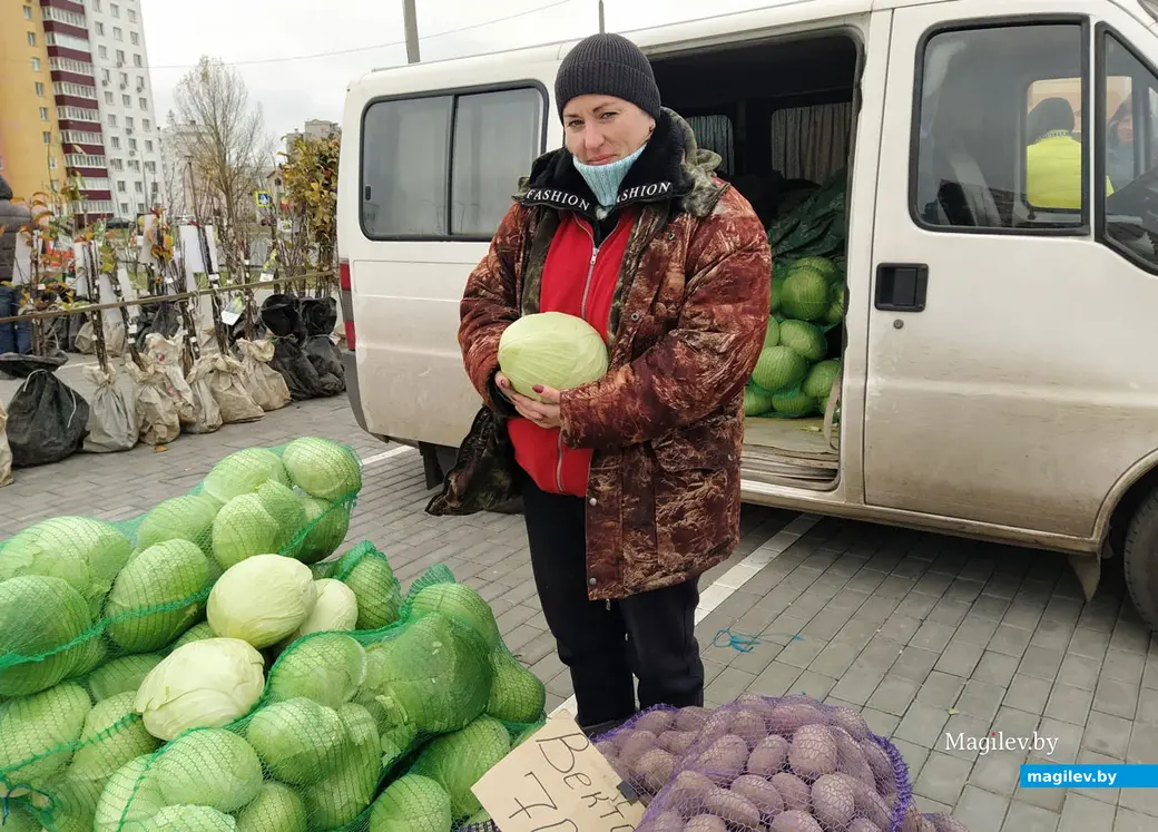 Ярмарка сельхозпродукции возле физкультурно-оздоровительного комплекса «Н2О» по улице Златоустовского, 1. Могилев, ноябрь, 2022 год.