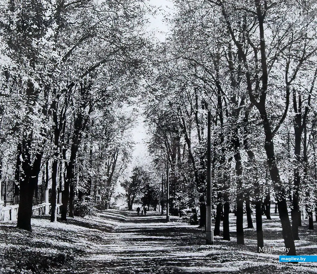 Выставка фотографий минчанина Вячеслава Дудоладова в Могилеве. Март 2023 года.
