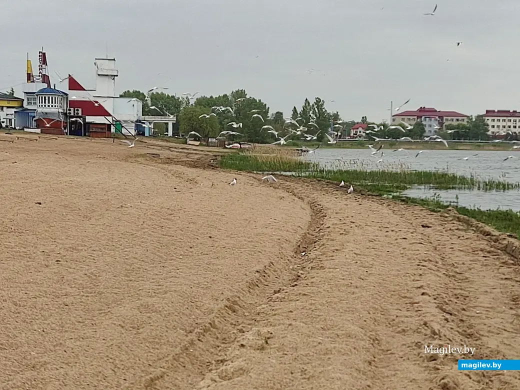 Пляж на Святом озере (Гребенеское водохранилище). Могилев, 17.05.2023 г.
