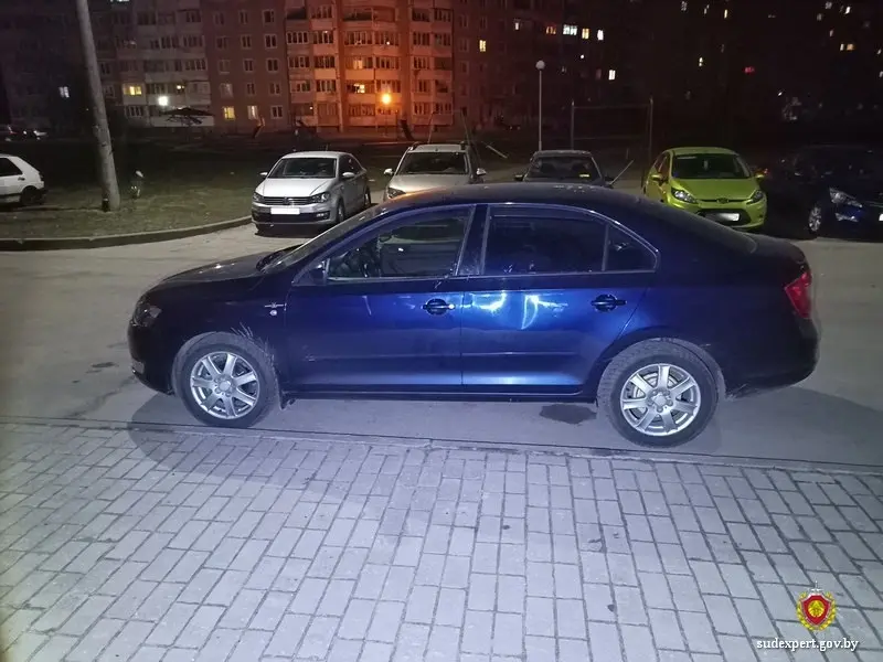 Могилевчанин поссорился с девушкой и сорвал зло на чужом автомобиле. Фото: управление ГКСЭ по Могилевской области.