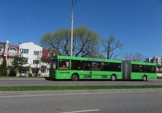 Автобусы в Могилеве с 10 июня станут ходить реже. Посмотрите, какие рейсы сократят