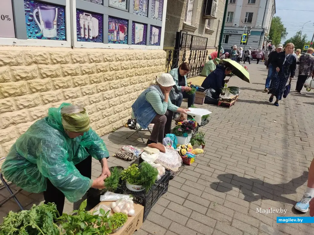 Что почем? Центральный (Минский) рынок. Могилев, 2.06.2023 г.