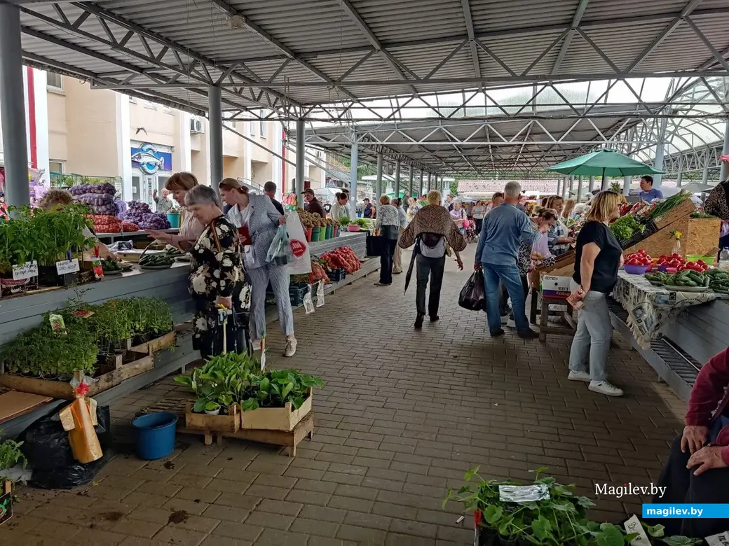 Что почем? Центральный (Минский) рынок. Могилев, 2.06.2023 г.
