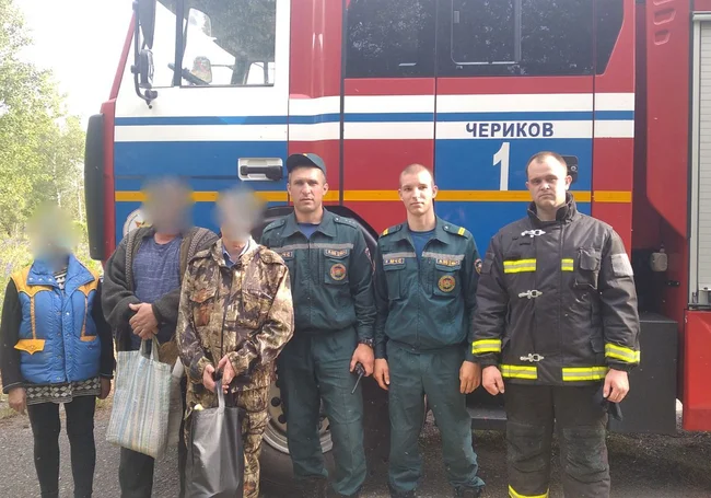 3 человека, искавшие кладбище, заблудились в лесу Чериковского района