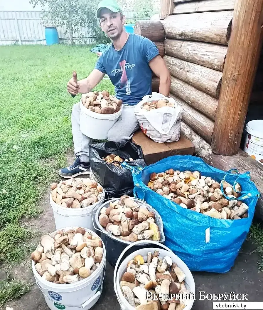 Григорий Елинский с грибными трофеями.