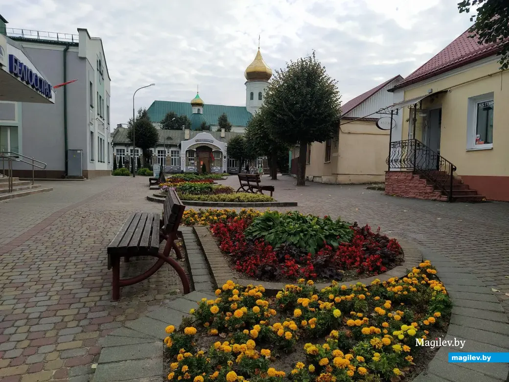 Путешествие одного дня: в Жировичский православный монастырь с заездом в  Слоним и его окрестности