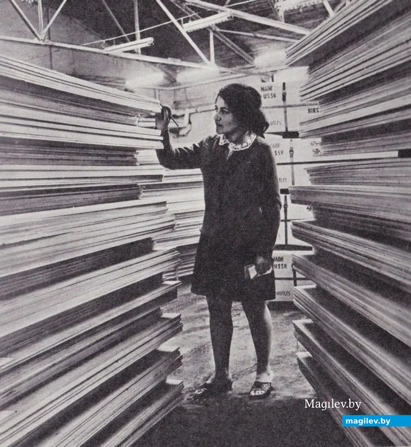 46. Книга «Бобруйск», 1978 год.