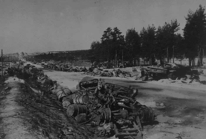 Разгромленная колонна немецкой техники на дороге под Бобруйском. Кадры фотохроники 1944 года.