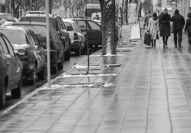 Порывистый ветер, мокрый снег: какой будет погода в Могилеве в пятницу, 12 декабря
