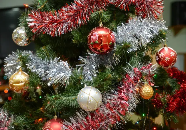 Три благотворительных праздника для детей пройдут в Могилевской области 4 января
