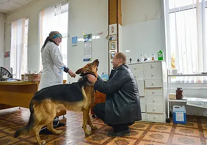 У питомца несколько дней проблемы со стулом. Опасно ли это? Отвечает ветеринарный врач