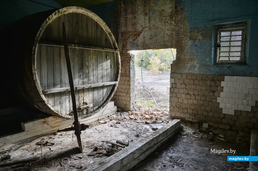 25.09.2014 Бобруйский завод виноградных напитков. 16-тонные дубовые бочки для коньяка.