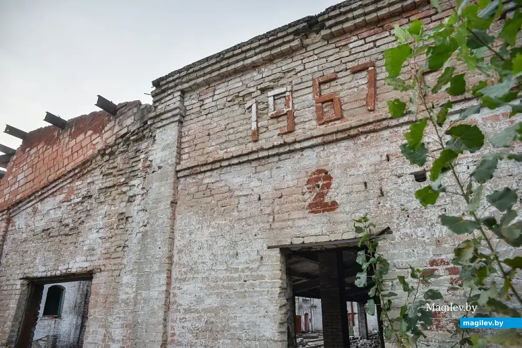 25.09.2014, Бобруйский завод виноградных напитков.