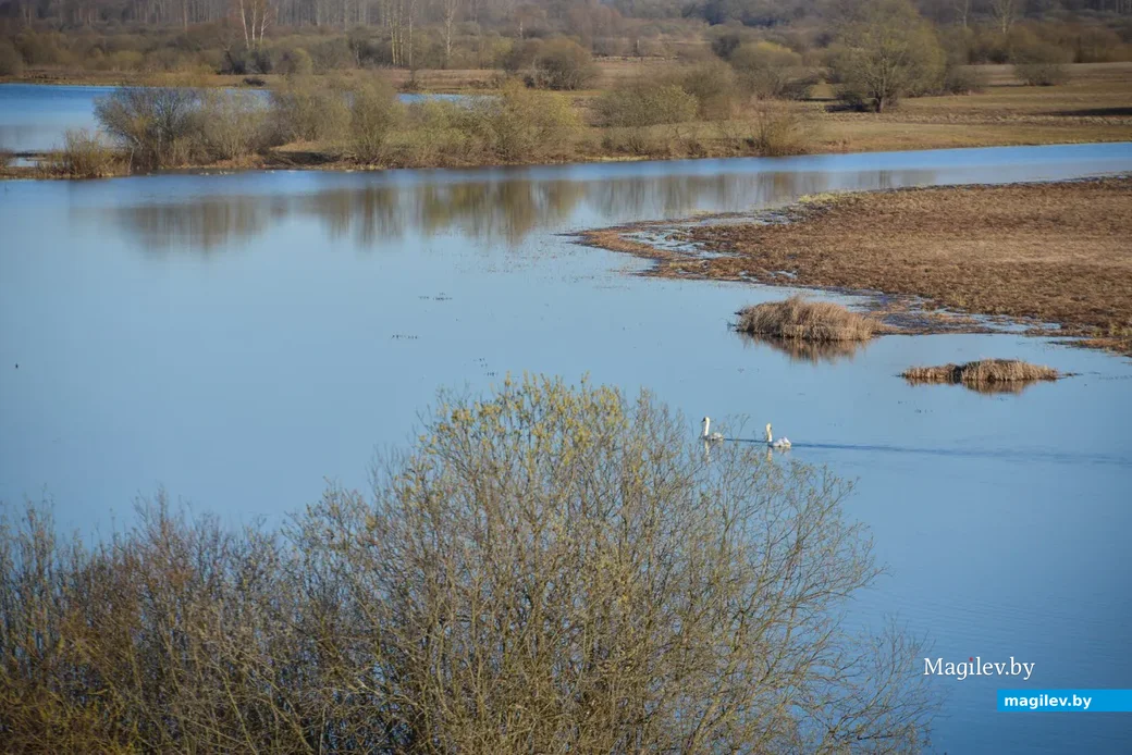 Фото: Александр Чугуев..