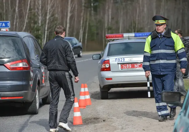 24 автомобилиста в Могилевской области решили, что для вождения им не нужны права