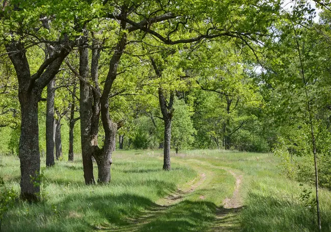 В Беларуси на 9 мая объявлено штормовое предупреждение из-за заморозков