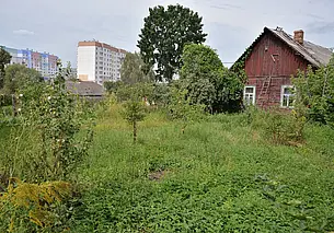 Дожди, грозы и туманы: какой будет погода в конце июня