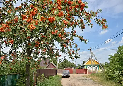 Тепло и комфортно: прогноз погоды на неделю с 11 по 17 августа