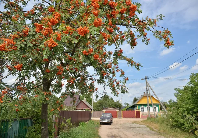 Лето не собирается сдаваться. Прогноз погоды на неделю с 8 по 14 сентября