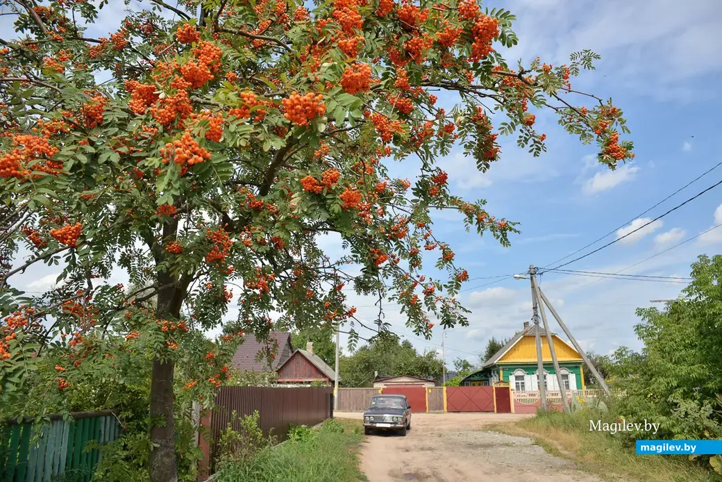 Август..
