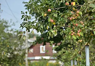 Словно на дворе не август, а сентябрь. Прогноз погоды на неделю с 25 по 31 августа