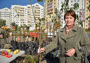 Можно ли посадить возле подъезда дерево? Отвечают могилевские специалисты