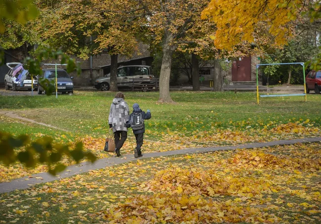 До +20°С тепла, дожди маловероятны: о погоде в Могилеве и области 4 октября