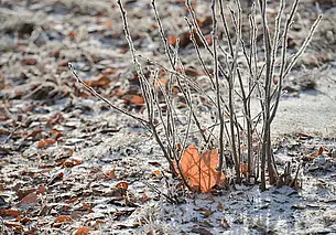 Пасмурно, сыро, ветрено... Прогноз погоды на неделю с 16 по 22 декабря