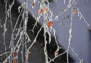 Небольшие морозы ночью, а днем выше ноля. О погоде на ближайшую неделю со 2 по 8 декабря