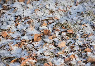 Дожди, мокрый снег, порывистый ветер. Прогноз погоды на неделю с 18 по 24 ноября