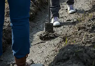 В День отца в Могилеве высадят еще 20 деревьев в «семейном» парке