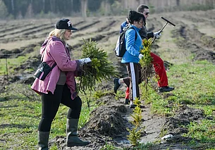 Хочешь посадить в лесу свое дерево? С 16 марта такая возможность будет у каждого