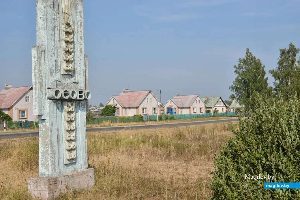 Деревня Осово Бобруйского района, 2015 год.
