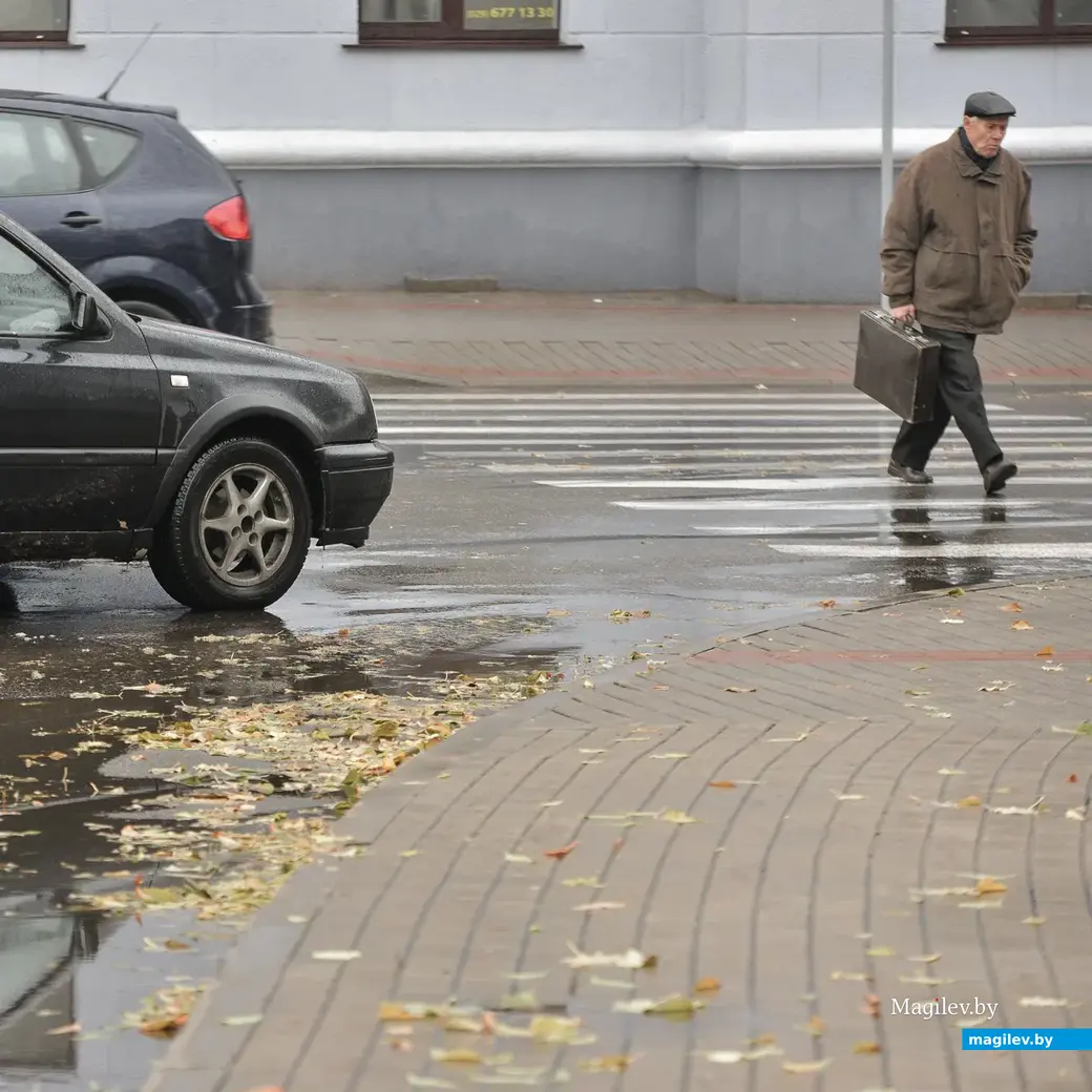 Дождливый день.. Фото: Александр Чугуев.