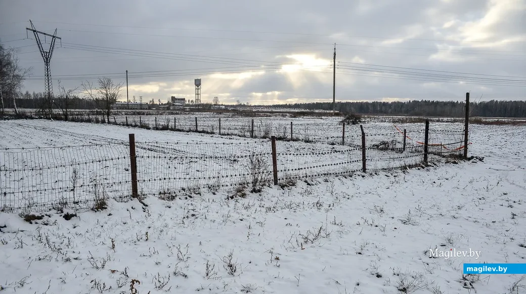 В Беларуси упрощена регистрация изменений земельных участков. Фото: Александр Чугуев.