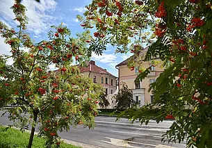 «Хорошо, если с соседями повезет, а если нет...» Жизнь глазами бобруйчан