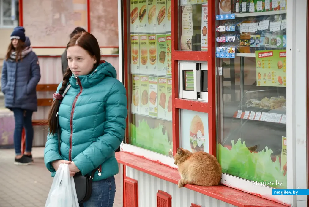В одном из апрелей в Бобруйске. Котик греется у киоска с фастфудом.