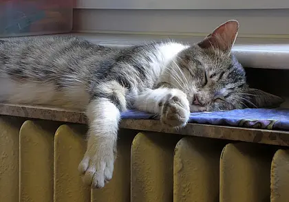 С сегодняшнего дня, 17 апреля, в Могилеве начнут отключать отопление