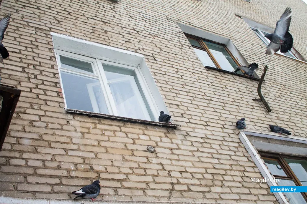 В районе ул. Интернациональной и Каменского