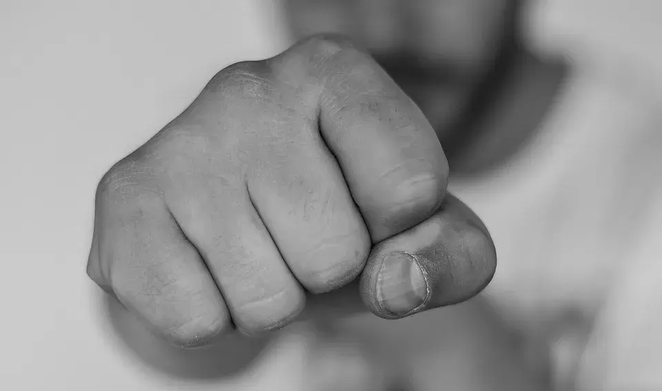 Домашнее насилие может выражаться в разных формах, в том числе физической, сексуальной, словесной, эмоциональной и/или экономической.