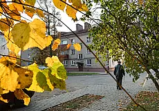 «Больше всего волнует вопрос: когда наступит мир?» Жизнь глазами читателей