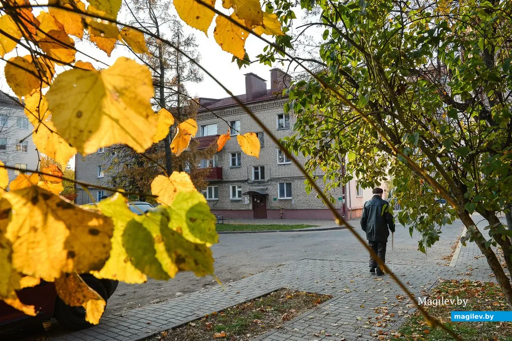 19.10.2018. Жилые дома в районе площади имени В.И.Ленина