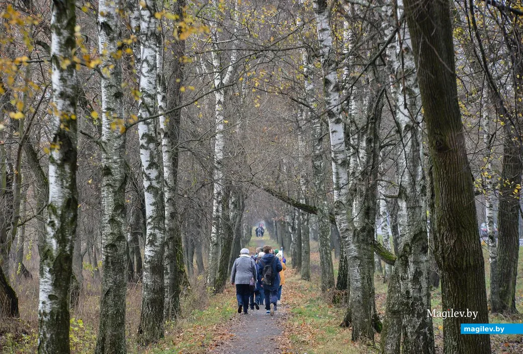 03.11.2018. Воспитанники Центра туризма, краеведения и экскурсий детей и молодежи города