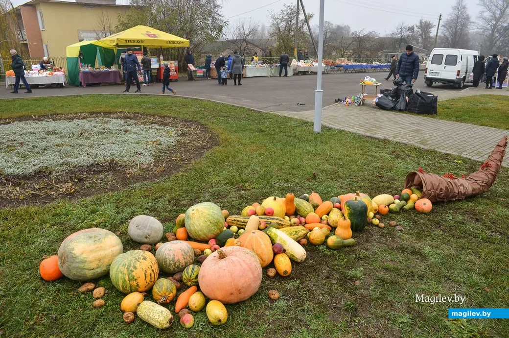 10.11.2018. Дожинки-2018 в Михалево, Бобруйский район.